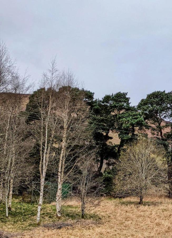 Luxury 2 Bedroom Caravan In Stunning Location ピトロクリー エクステリア 写真